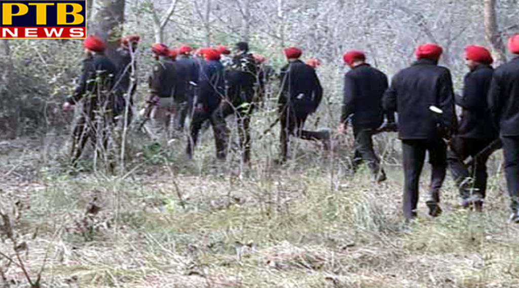 PTB Big Breaking News firojpur stirred by inputs ofinput about terrorists hidden-in forests and extensive search operation Punjab 