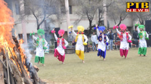 PTB News "शिक्षा" Lohri festival celebrated at lyalpur Khalsa College Jalandhar 