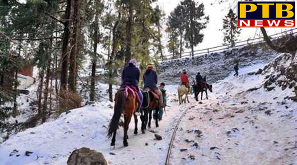 PTB Big Crime News Himachal pradesh shimla fight over horse riding in shimla kufri kashmiri tourist gun shots PTB Big Breaking