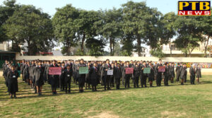 Innocent Hearts Conducts various activities During the Voter Awareness Drive