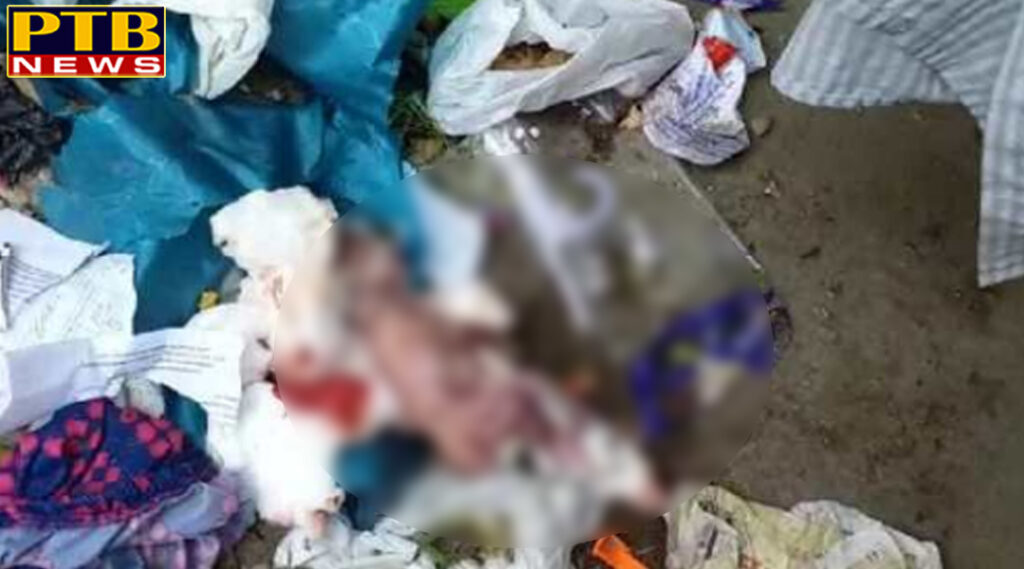PTB Big Sad News Newborn baby girl dead body found in Jalandhar