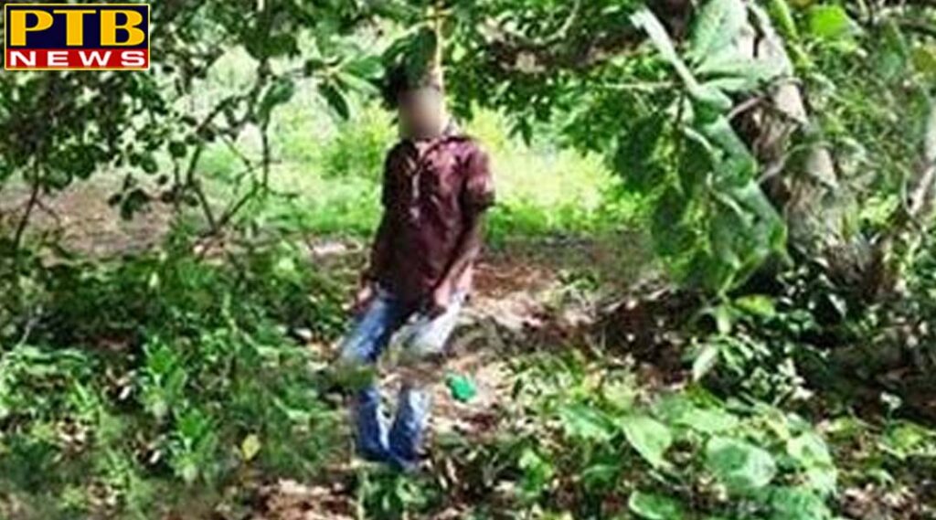 PTB Big Crime News young man body found hanging from tree in Jalandhar