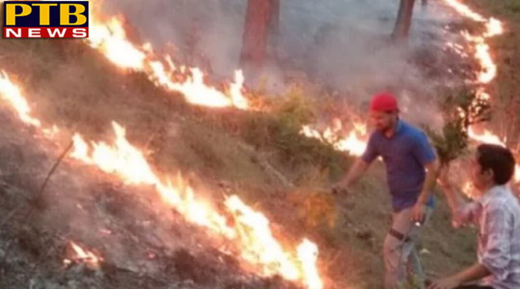 PTB Big Breaking News wild fire increased due to summer weather in uttarakhand