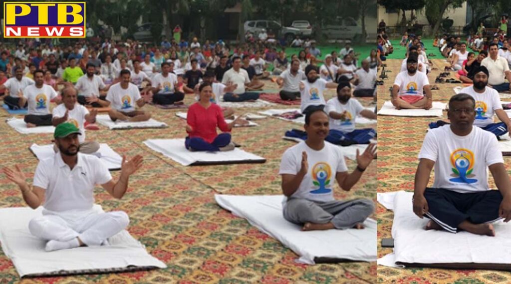 PTB Yoga Day News Jalandhar international yoga day 2019
