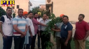 Rajinder Barry MLA from Karol Bagh area, planted plants with the people of the area Jalandhar Punjab