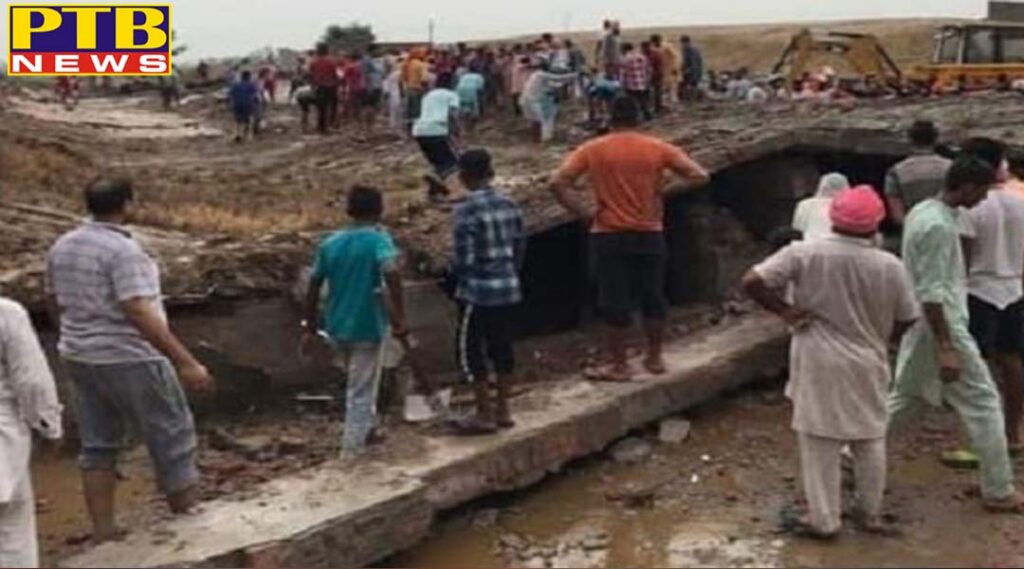 punjab gaushala roof collapsed due to rain and cow dabbed in bathinda of punjab