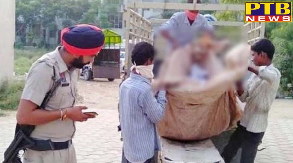 ludhiana brother extracts dead body of sister from grave in suspect of her murder