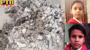 coal was burnt to avoid winter a small mistake ruined everything Punjab