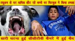 pitbul dog attack child in purian mohalla jalandhar city punjab
