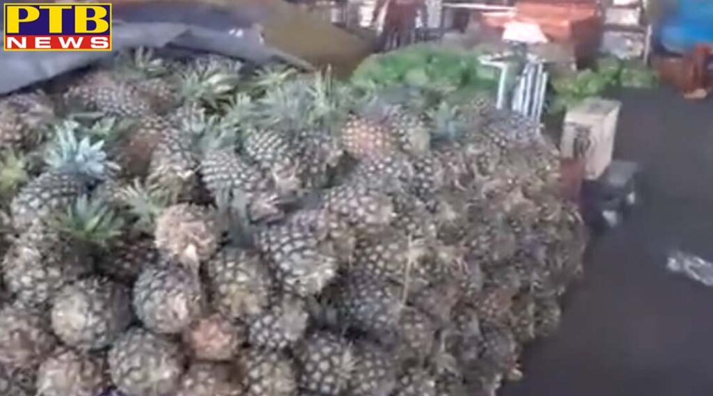 Maksudan which sells 50 tonnes of pineapple and seasonal fruits, has become a trouble for the bazar Jalandhar