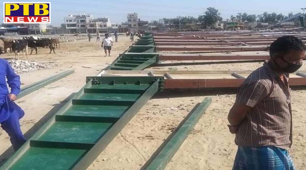 Maqsooda Mandi shed fell in the market Jalandhar Avoiding large losses due to non-installation of pods Punjab PTB Big Breaking News
