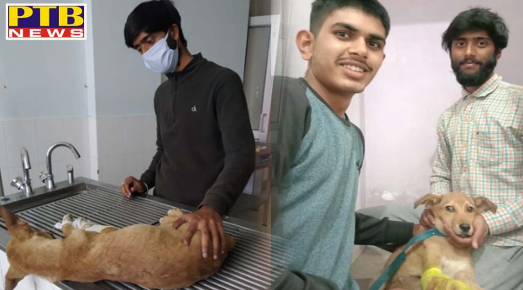 Himachal young man becomes angel for the innocent, amid Corona infection Saved life of the innocent by undergoing surgery in curfew and lockdown Jwalaji