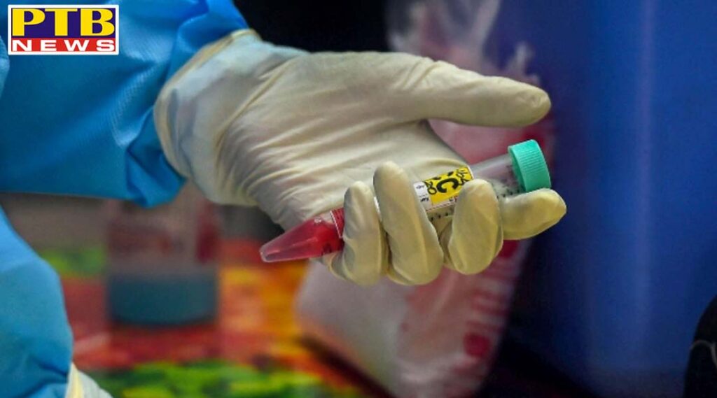 Oxford covid-19 vaccine found positive in small study of monkeys