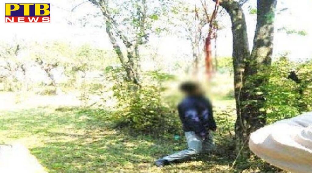 Student's body found hanging on tree in the jungle of Chandigarh Police filed a case