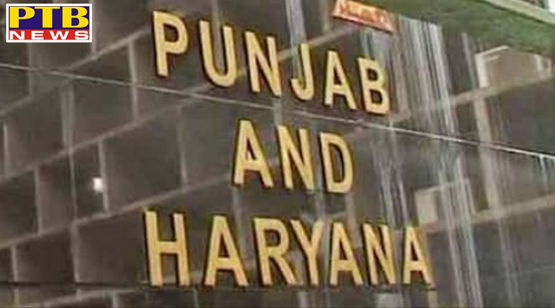 पंजाब-हरियाणा हाईकोर्ट ने पंजाब पुलिस को लगाई फटकार, कागजातों में दर्ज नीग्रो शब्द को हटाएँ,