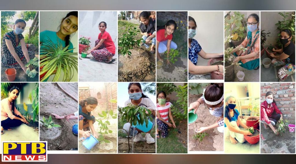 KMV Organises Van Mahotsav Week Students Organises Tree Plantation Drives for Environment Conservation