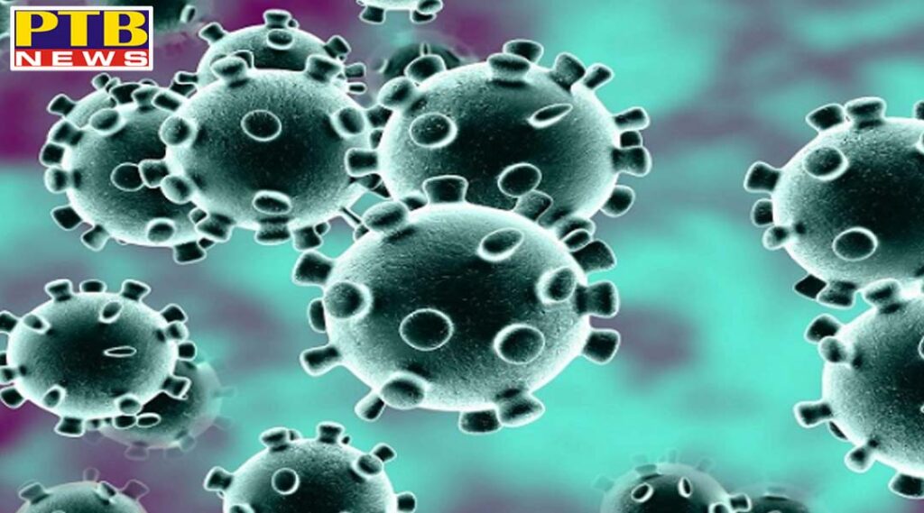 civil-surgeon of sangrur corona virus Covid19 Punjab