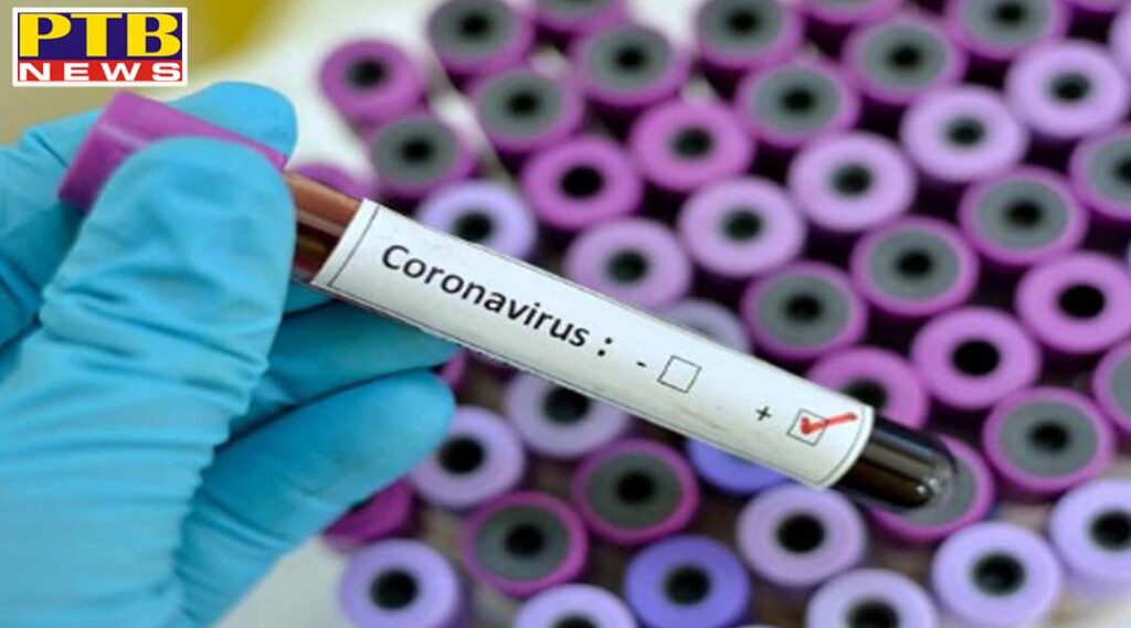 31 new positive cases of corona virus in jalandhar 344 people reported corona negative