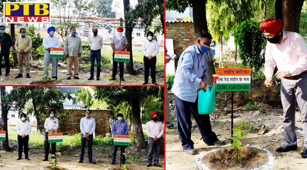 Indian Oil Corporation launches plantation campaign in memory of martyrs
