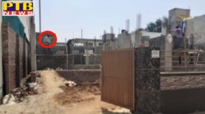 What did former Jalandhar Mayor and senior BJP leader Rakesh Rathore say about the current Mayor Jagdish Raj Raja and the municipal