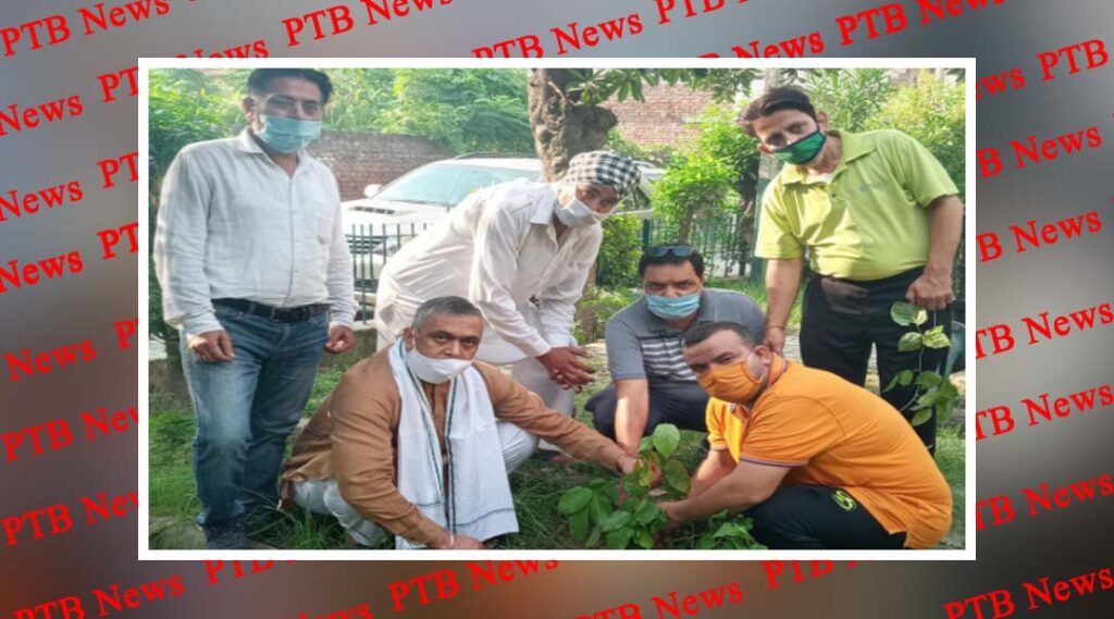 Under the guidance of former CPS KD Bhandari and District President, teams of five activists planted plants in Jalandhar North region Jalandhar