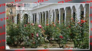 KMV College Jalandhar Rose Garden at Full Bloom