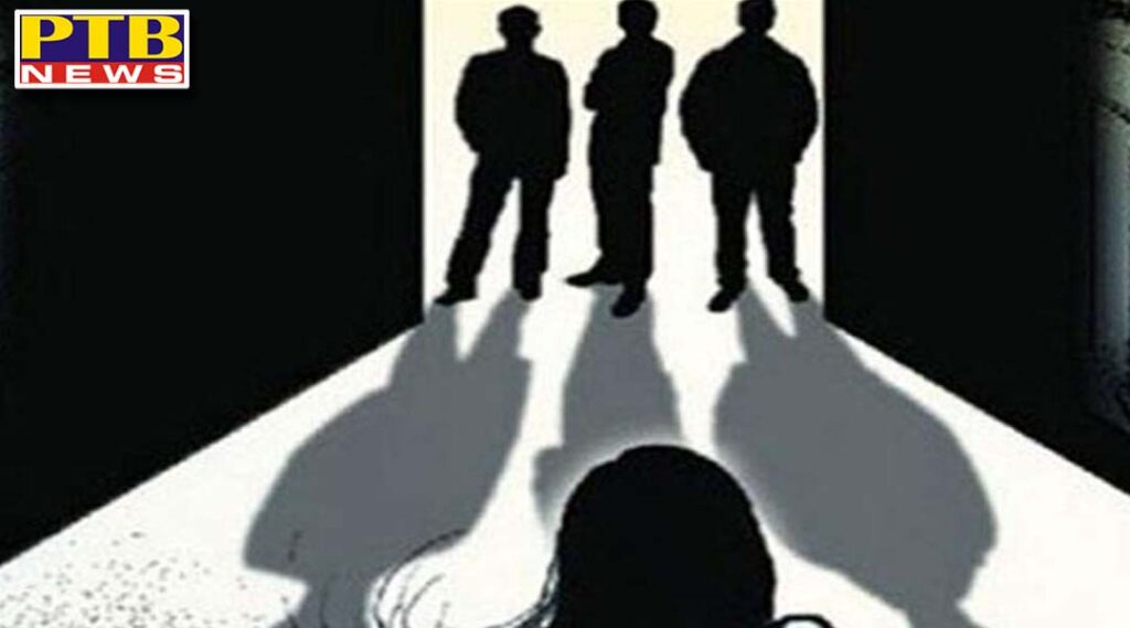 madhya pradesh widow woman brutally gangraped admitted in critical condition case registered against 3 men MP