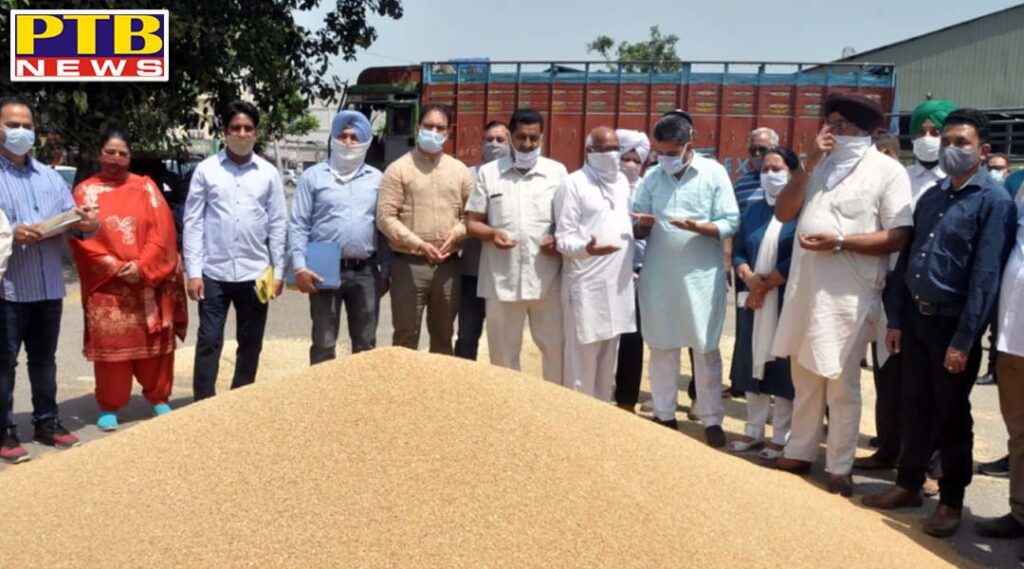 MLA Bawa Henry started procuring wheat in New Dana Mandi Jalandhar Punjab