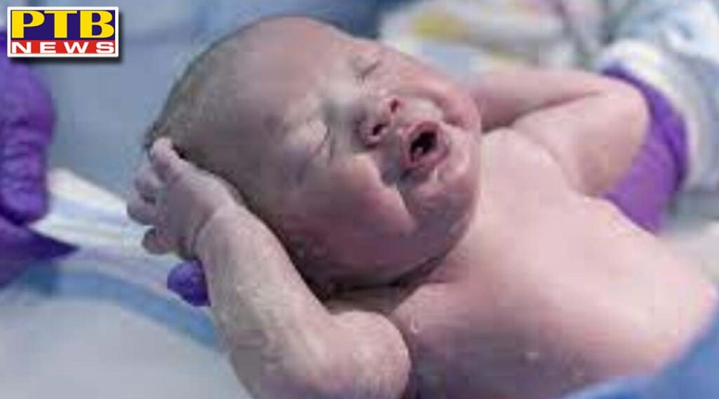 mali woman has given birth to nine babies says health ministry halima cisse morocco