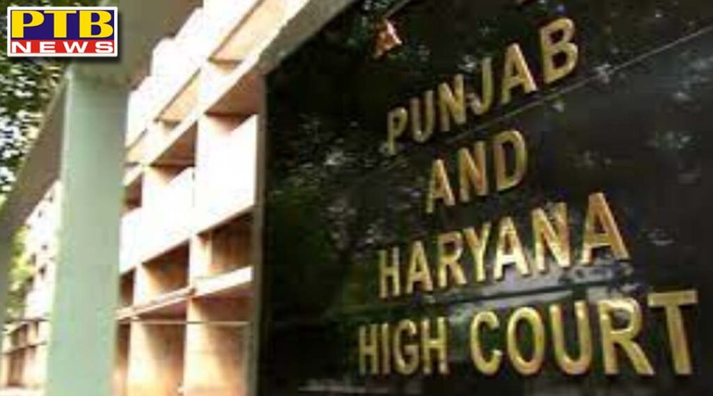 Punjab and Haryana High Court important decision regarding live in relationship Punjab