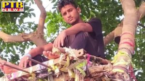 Covid-19 positive teen goes into tree top isolation Telangana