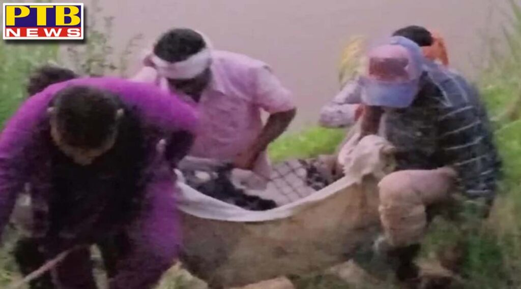 a minor girl commit suicide in faridkot of punjab