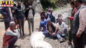 landslide in shimla nerva two women killed fiver others injured breaking Himachal Pardesh