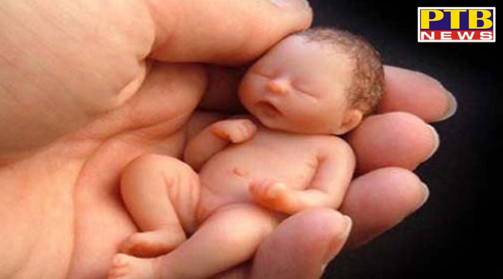 virgin mother threw the two and a half month old embryo into the dirty drain when she took it out the insects were eating Jalandhar gorayan