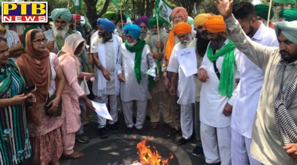 copies of central governments agricultural reform laws were burnt outside dc office slogans against punjab government along with pm modi Jalandhar Punjab