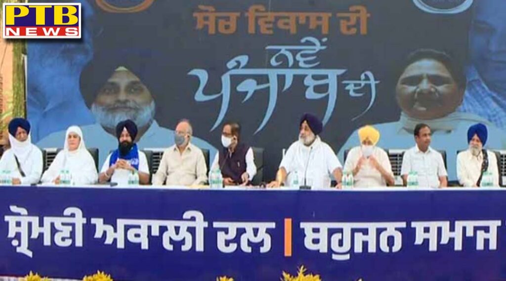 bsp will contest 20 seats in punjab including jalandhar west and north akali dal candidates will contest the rest of the seats akali bsp