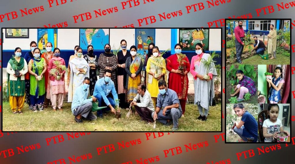 world nature conservation day observed by St Soldier Group