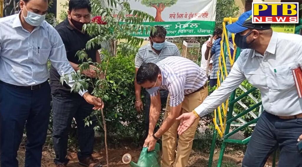 dc ghanshyam thori kickstarts plantation drive on 71th van mahotsav 16k saplings planted in a single day Jalandhar