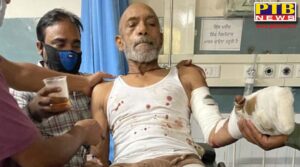 Jalandhar the people of the locality attacked the elderly person with a sharp weapon due to enmity Punjab PTB Big Breaking
