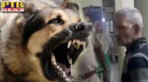 angered by the bite on his hand he was first beaten with sticks then strangled with a plastic rope on death he was thrown in the garbage heap