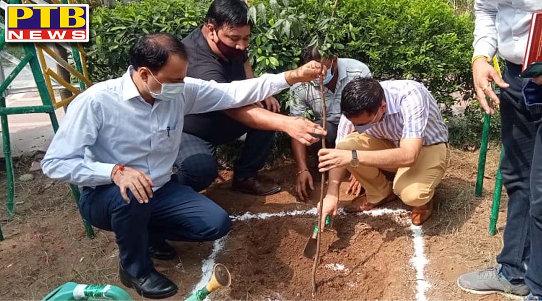 जिलाधीश की तरफ से 71वें राज्य स्तरीय वन महोत्सव के अवसर पर ज़िले भर में की गई पौधे लगाने की शुरुआत, ज़िला प्रशास्निक कंपलैक्स में लगाऐ पौधे,