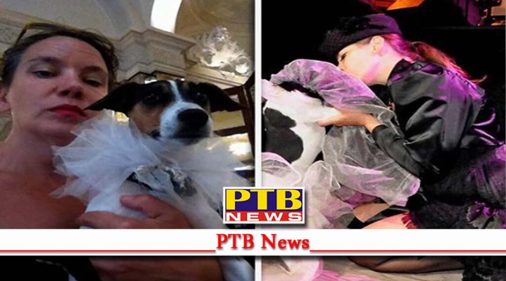divorced woman marries her dog in the presence of 200 guests London PTB News Desk Shocking News