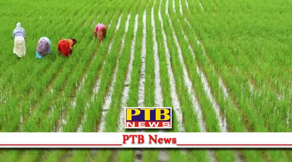 farmer leader rakesh tikait on announcement to repeal all three farm laws by pm modi delhi Kisan Andolan Farm Bills kisan morcha