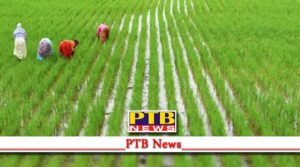 farmer leader rakesh tikait on announcement to repeal all three farm laws by pm modi delhi Kisan Andolan Farm Bills kisan morcha