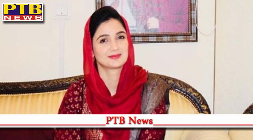 pakistan cyber crime sania ashiq mpa punjab province imran khan Islamabad