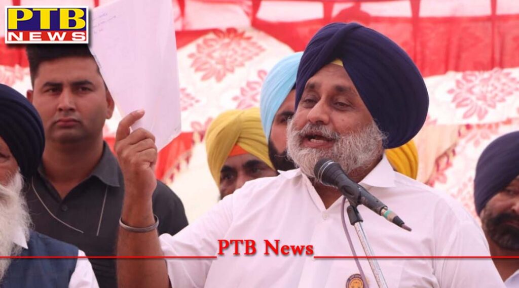 Sukhbir Singh Badal made a big statement Chief Minister Charanjit Singh Channi is pressurizing the DGP of the state to implicate the Akali leadership in the sacrilege and firing cases Punjab