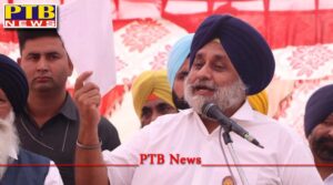 Sukhbir Singh Badal made a big statement Chief Minister Charanjit Singh Channi is pressurizing the DGP of the state to implicate the Akali leadership in the sacrilege and firing cases Punjab