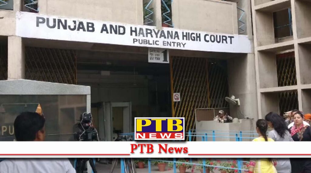 high court canceled the recruitment process of 8000 pre primary teachers in punjab chandigarh PTB Big Breaking News