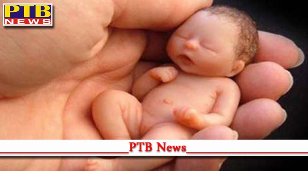 punjab dead body of newborn girl found in bushes near pratap bagh in jalandhar