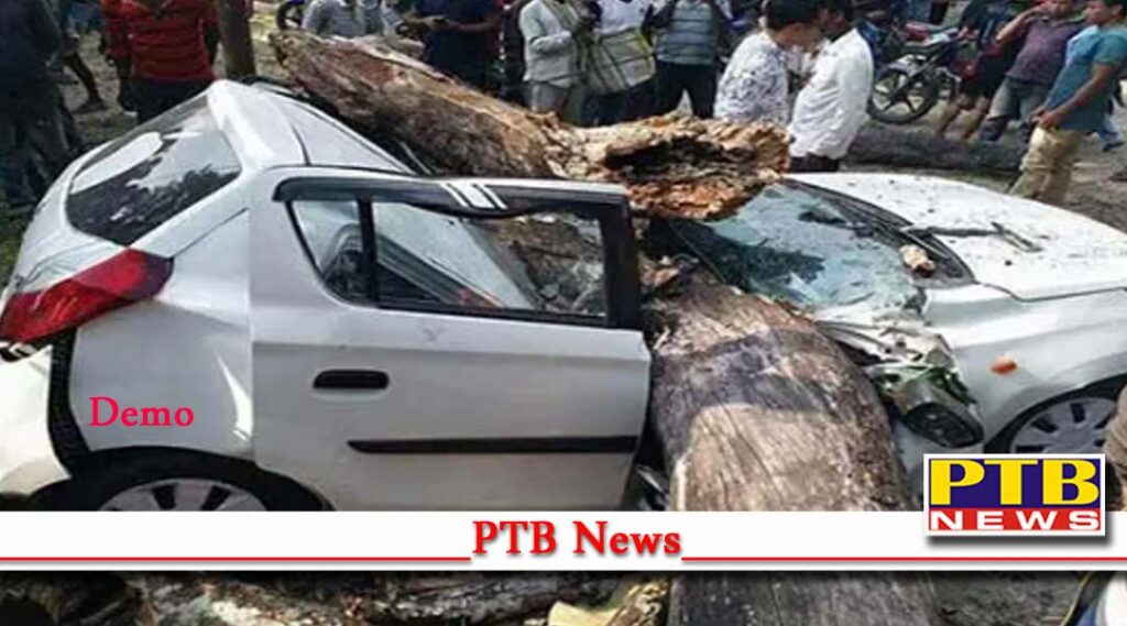 car collided tree horrific road accident Betul district of Madhya Pradesh four people died two serious